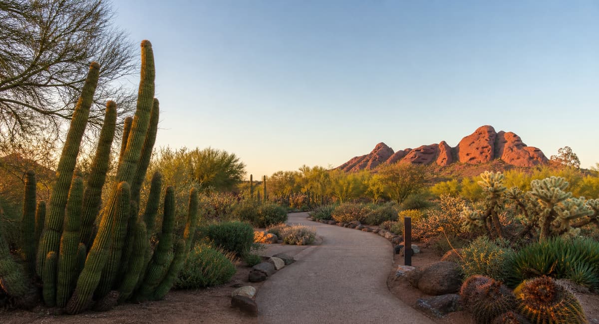 Photoreal editorial image for How Many Days Do You Need in Phoenix, Arizona?, inspired by Phoenix