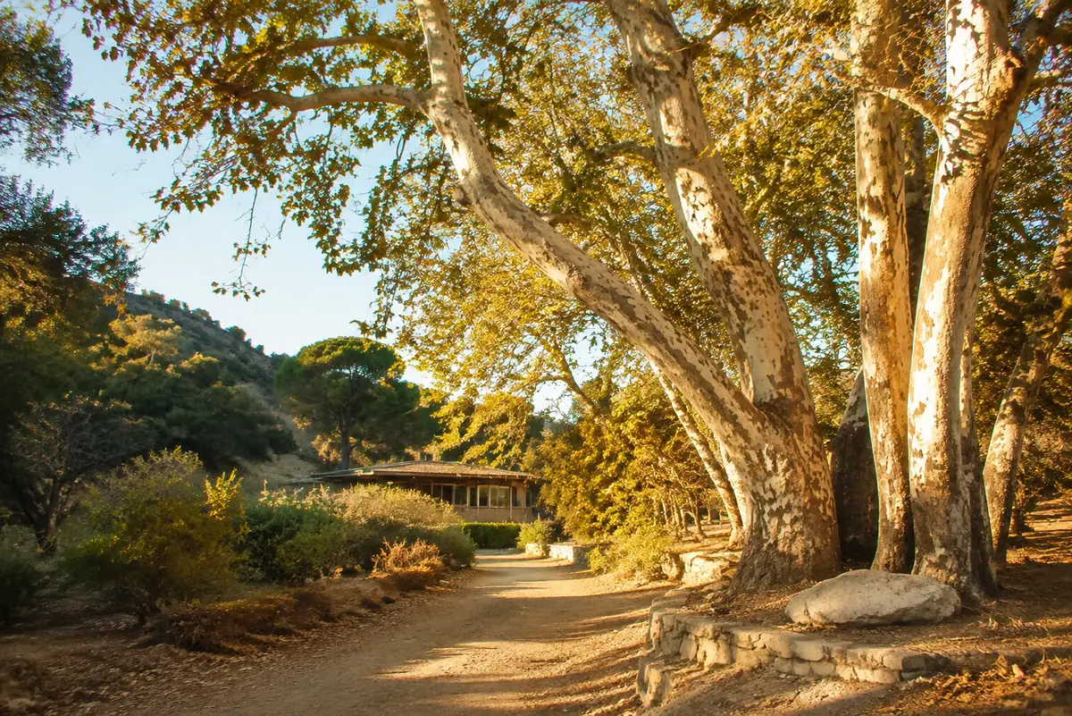 Photoreal Oak Canyon Nature Center oak woodland trail in Anaheim