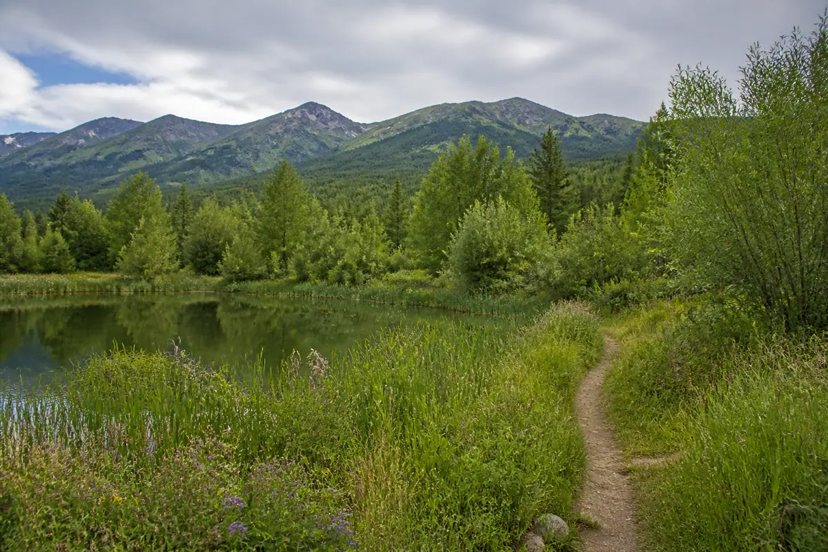 Travel-editorial view of Aspen Center for Environmental Studies at Hallam Lake in Aspen, Colorado