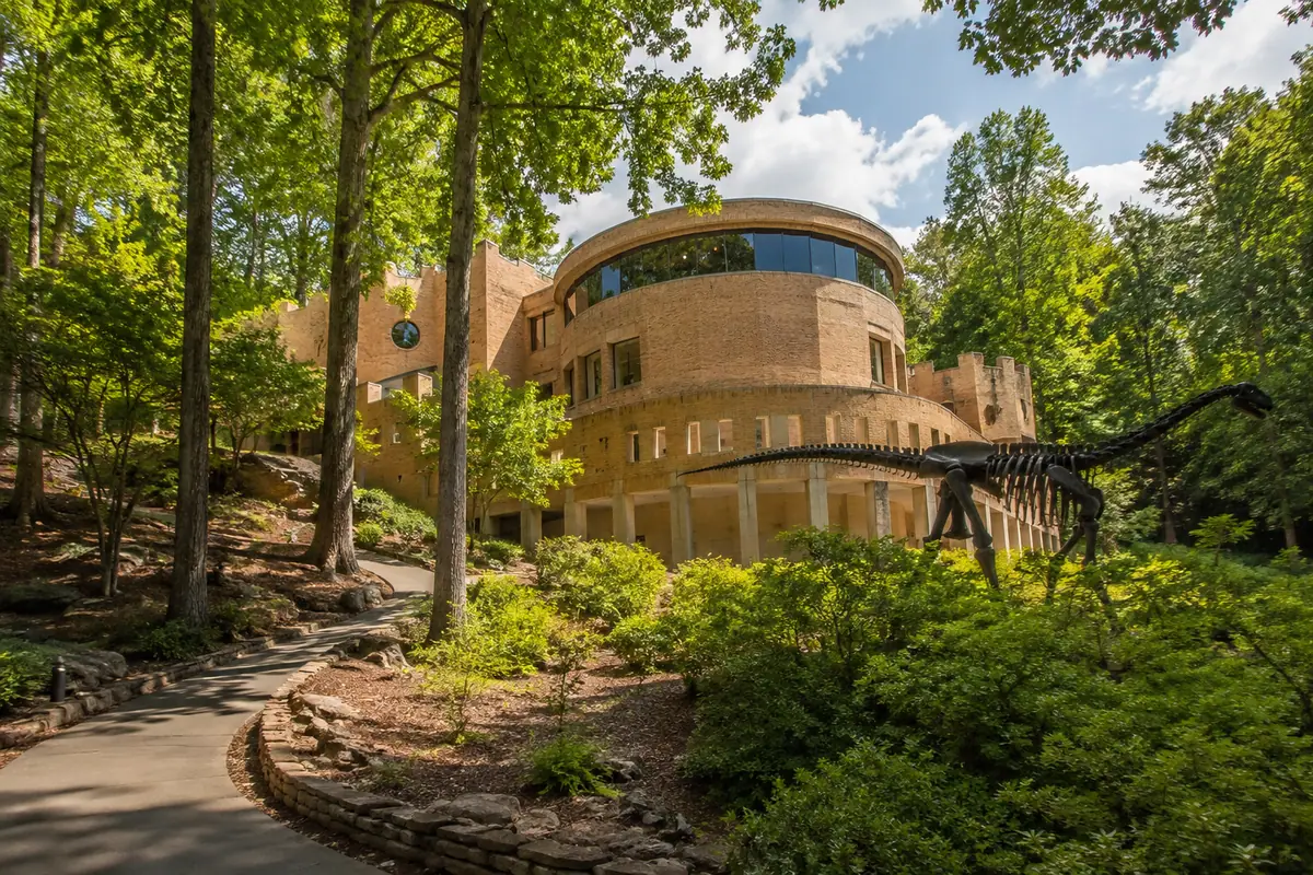Photoreal forest setting at Fernbank Museum of Natural History in Atlanta