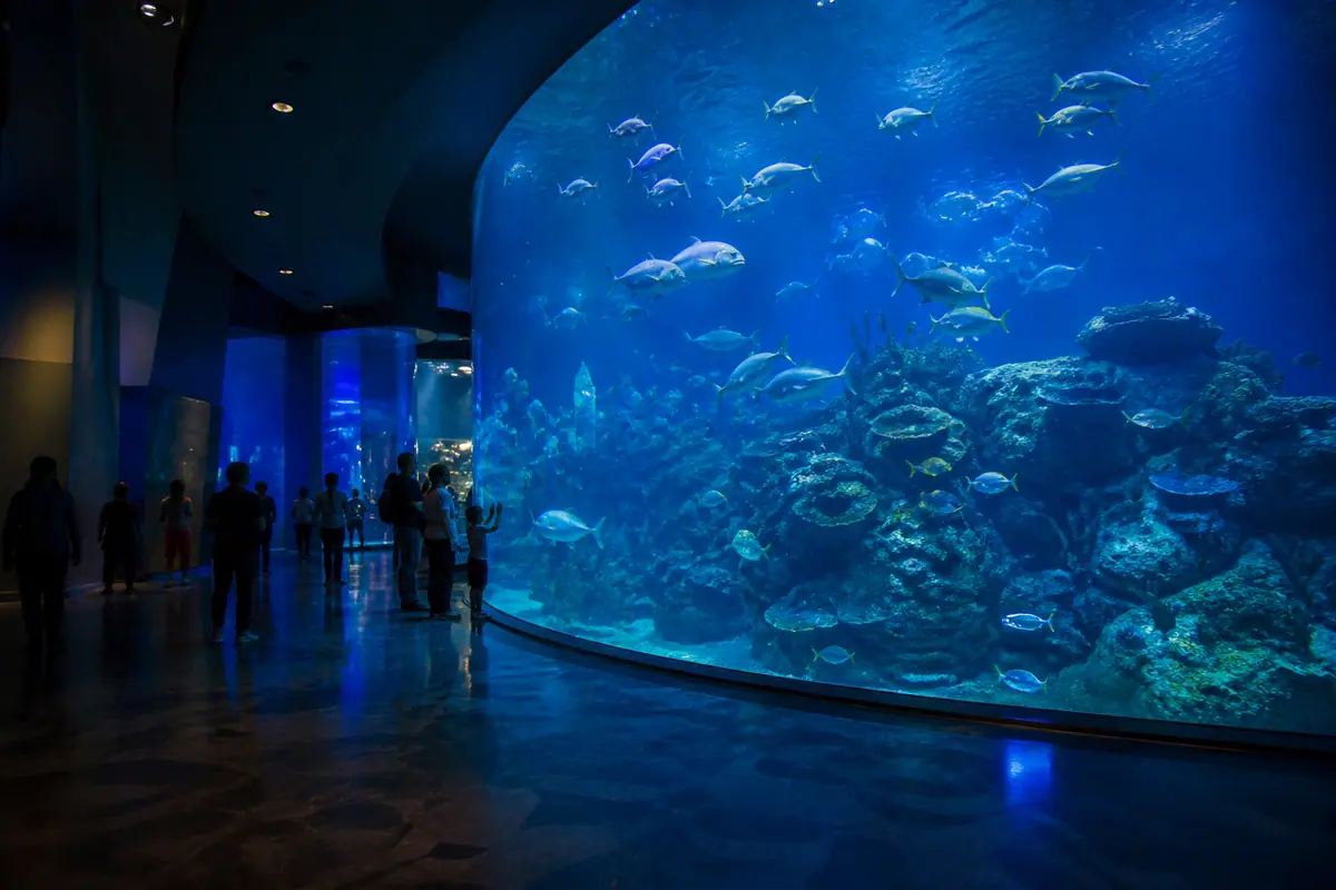Photoreal view of National Aquarium in Baltimore