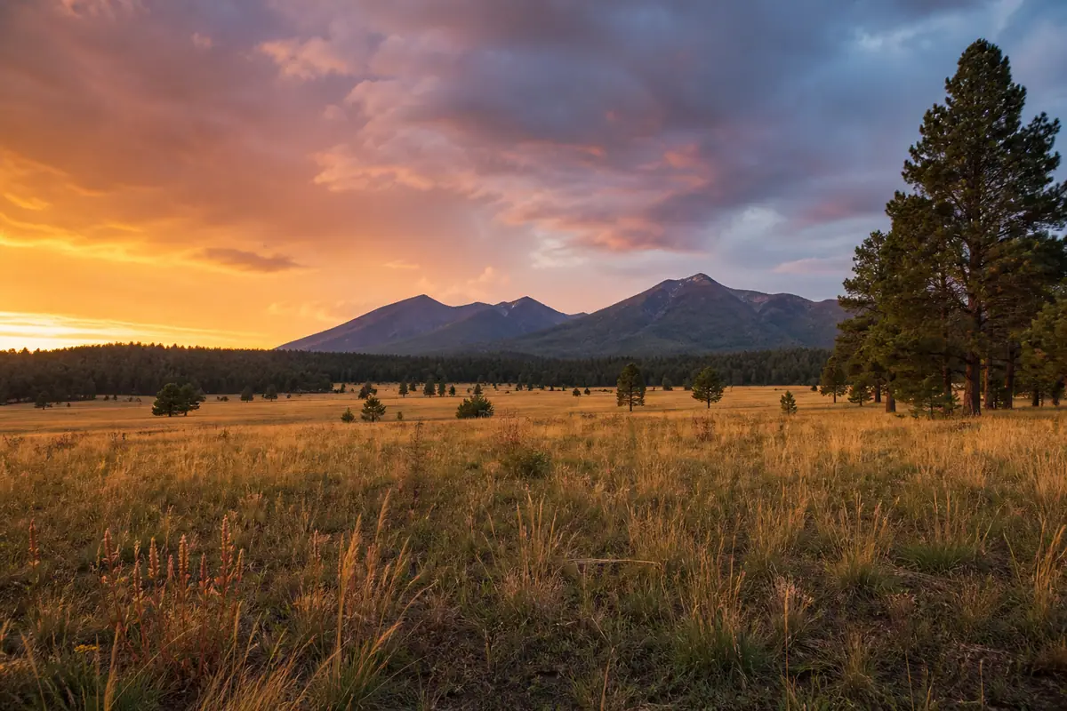 Photoreal travel-editorial view of Buffalo Park in Flagstaff, Arizona