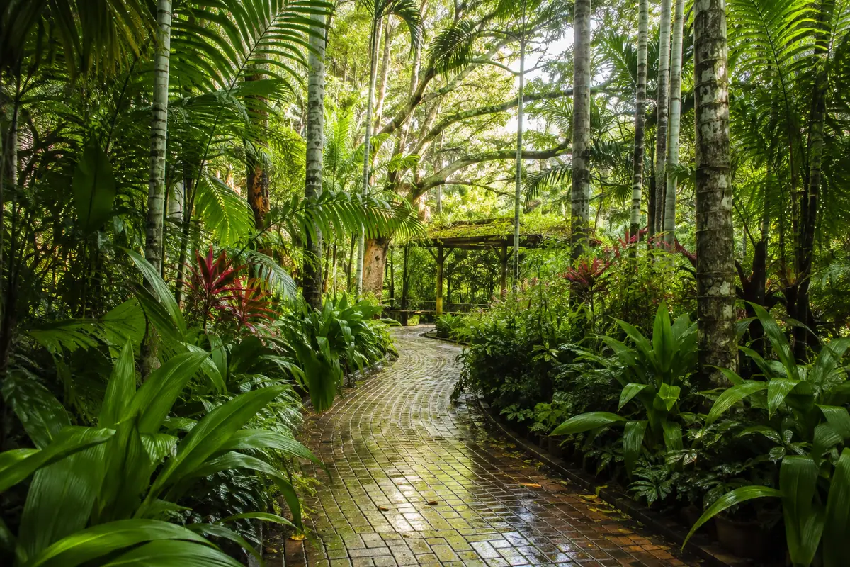 Photoreal tropical garden path at Flamingo Gardens near Fort Lauderdale