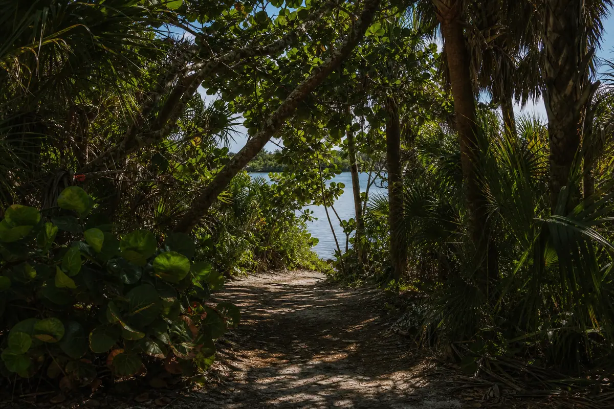 Photoreal view of Hugh Taylor Birch State Park in Fort Lauderdale