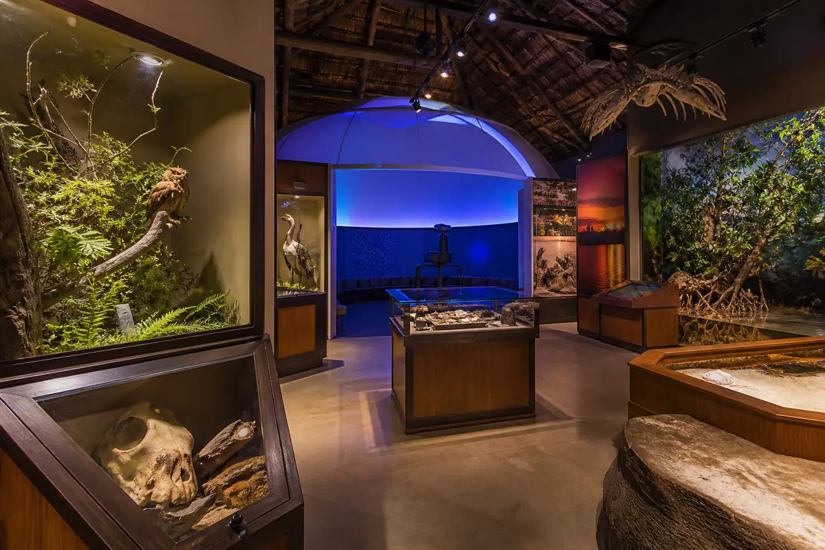 Photoreal travel-editorial view of Calusa Nature Center & Planetarium in Fort Myers, Florida