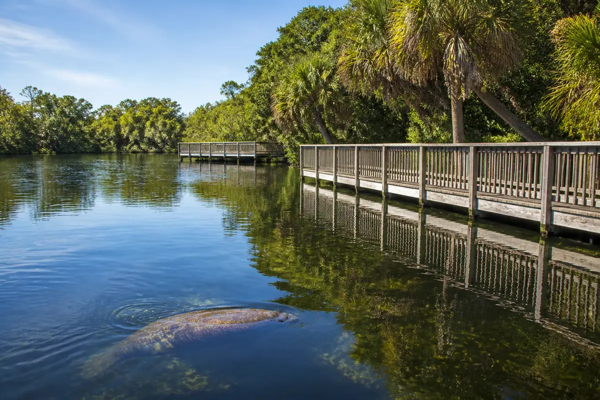 Photoreal travel-editorial view of Manatee Park in Fort Myers, Florida