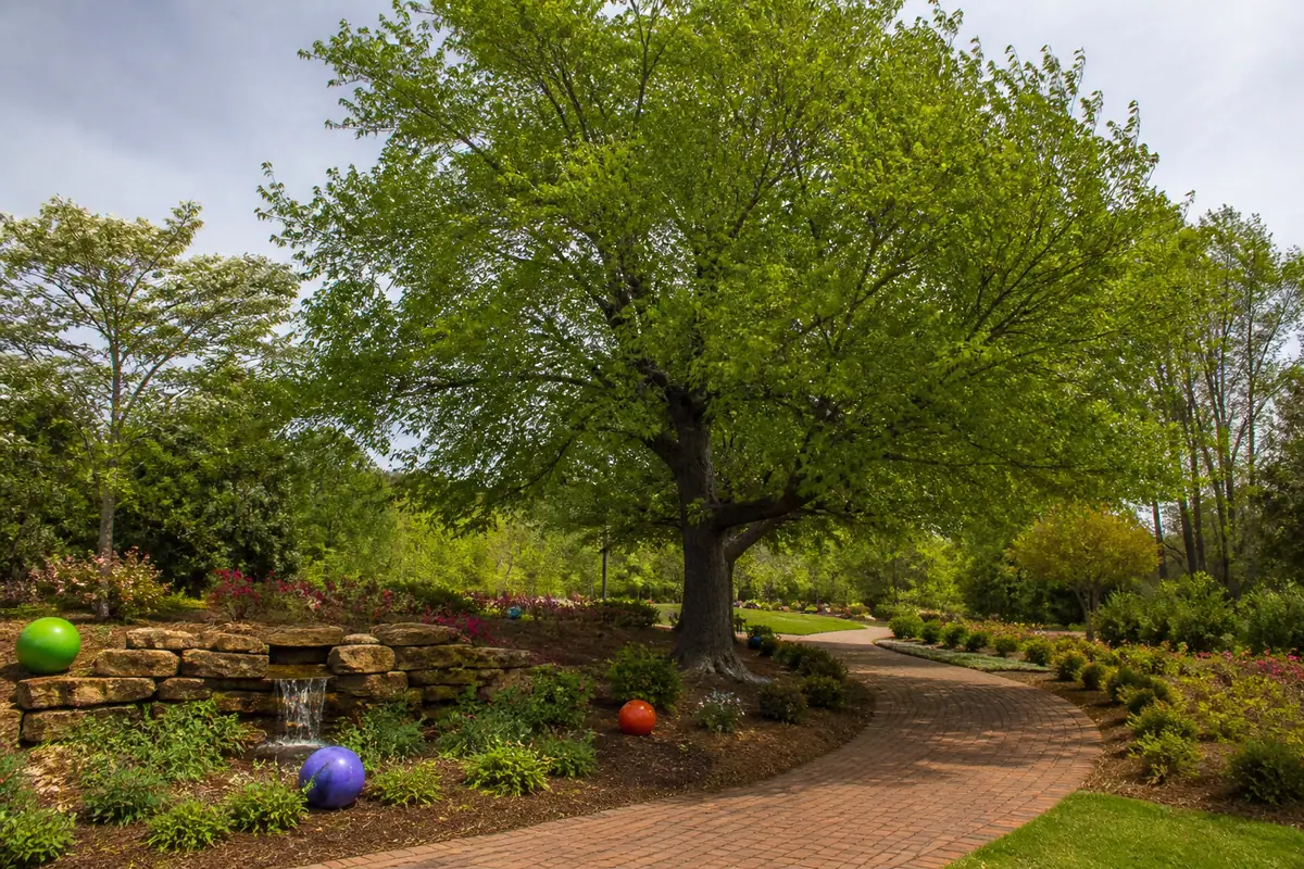 Photoreal view of Cancer Survivors Park in Greenville, South Carolina