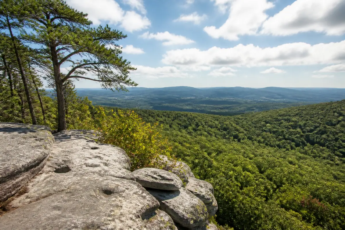 Photoreal view of Paris Mountain State Park in Greenville, South Carolina