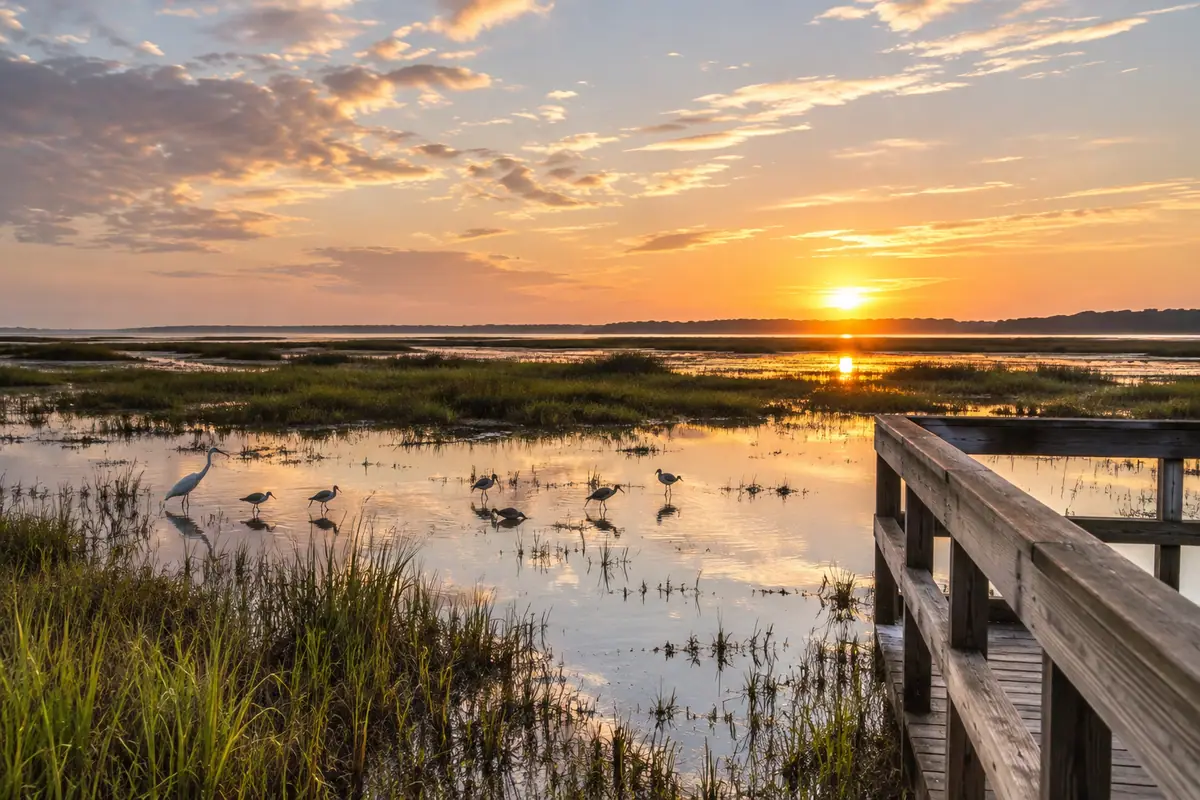 Photoreal travel-editorial view of Alabama Coastal Birding Trail in Gulf Shores, Alabama