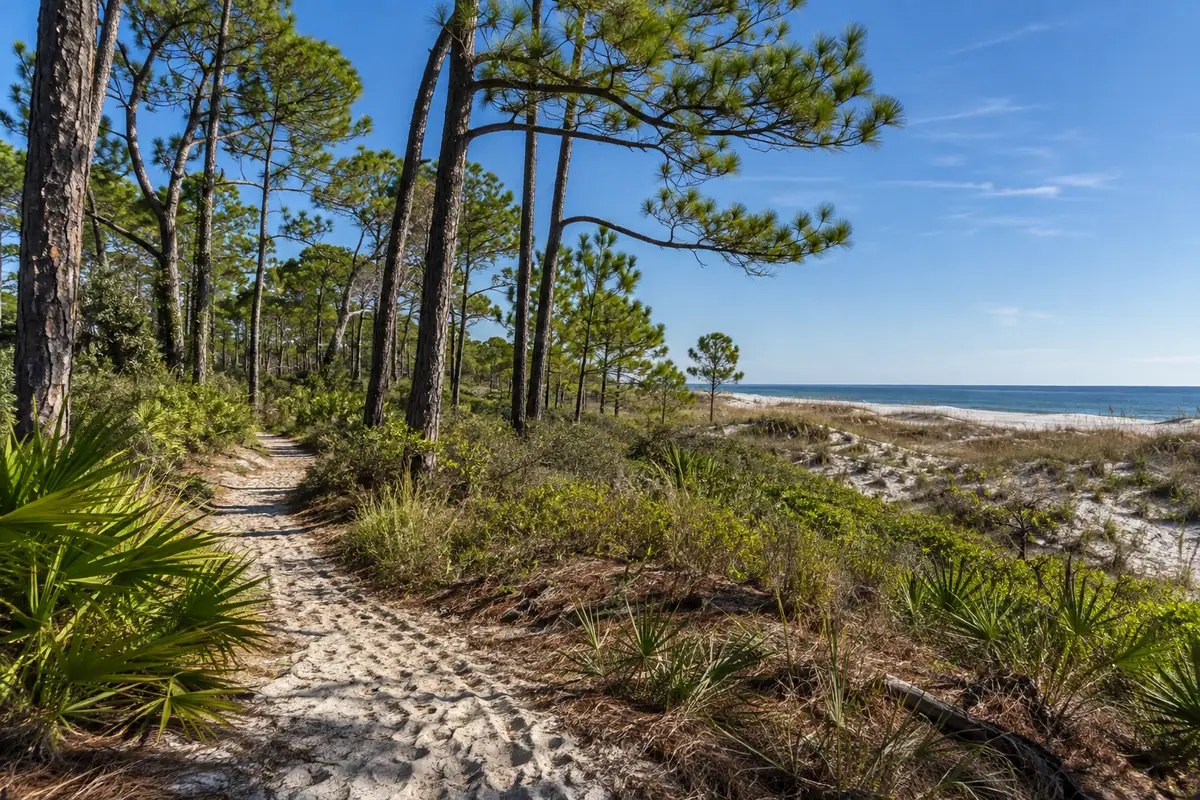 Photoreal travel-editorial view of Bon Secour National Wildlife Refuge in Gulf Shores, Alabama