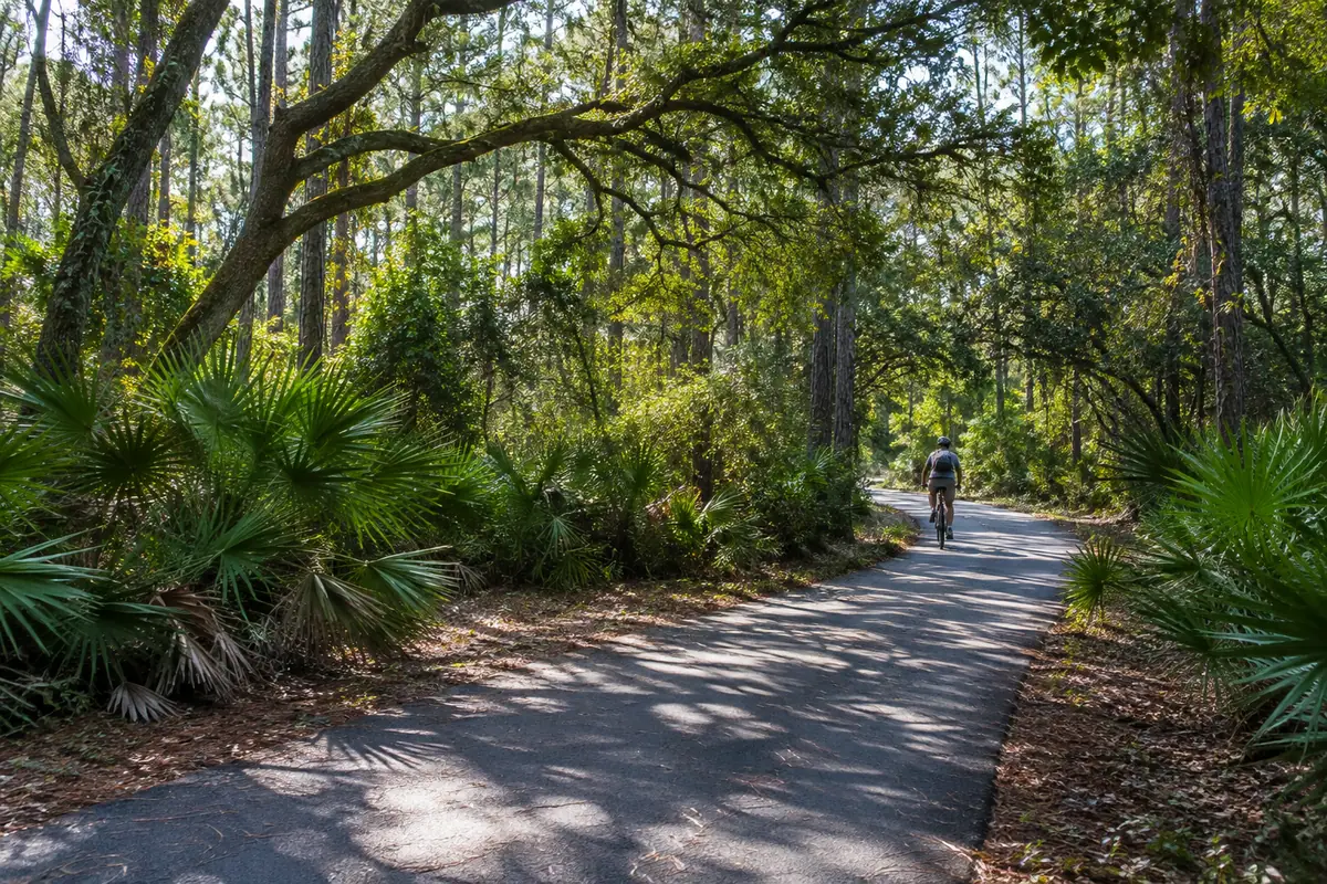 Photoreal travel-editorial view of Hugh S. Branyon Backcountry Trail in Gulf Shores, Alabama