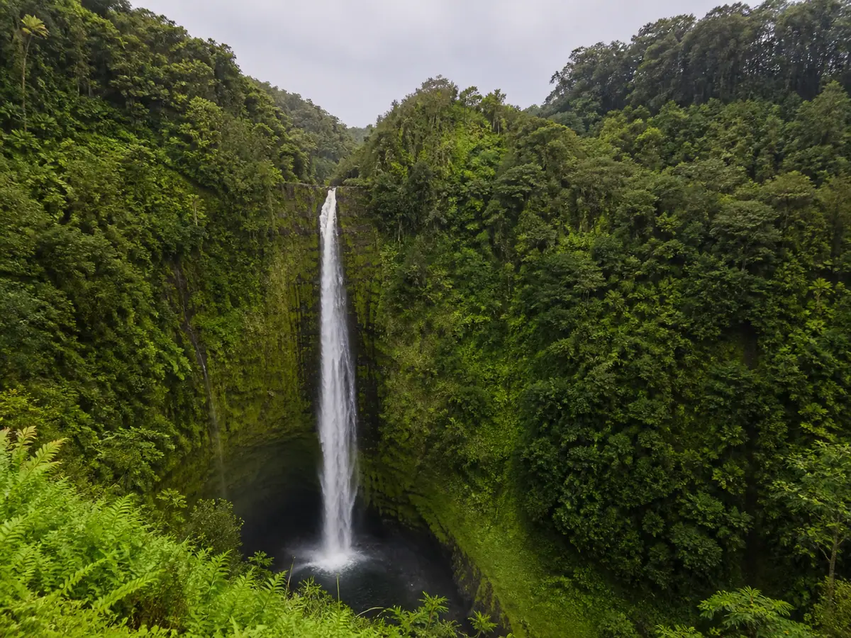 ʻAkaka Falls State Park on Hawaiʻi Island