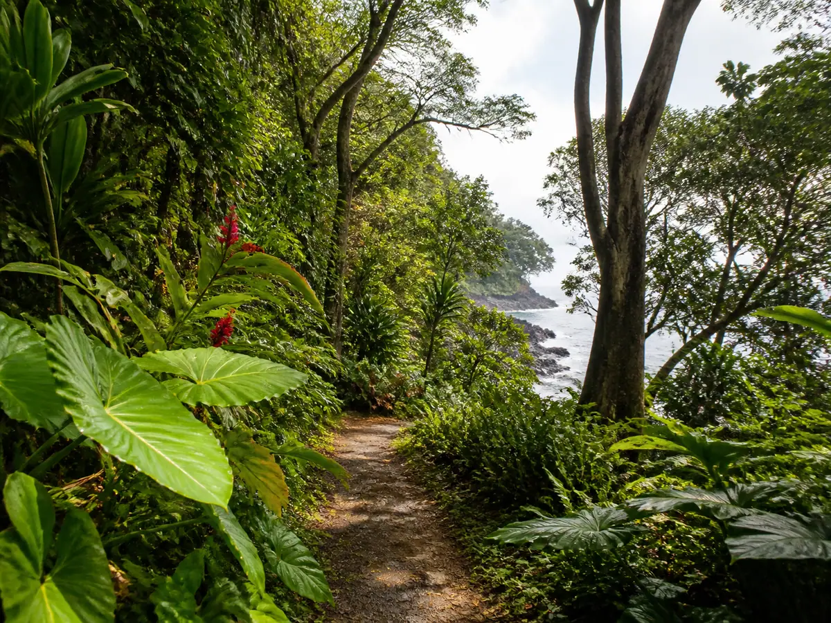 Hawaiʻi Tropical Bioreserve and Garden on Hawaiʻi Island