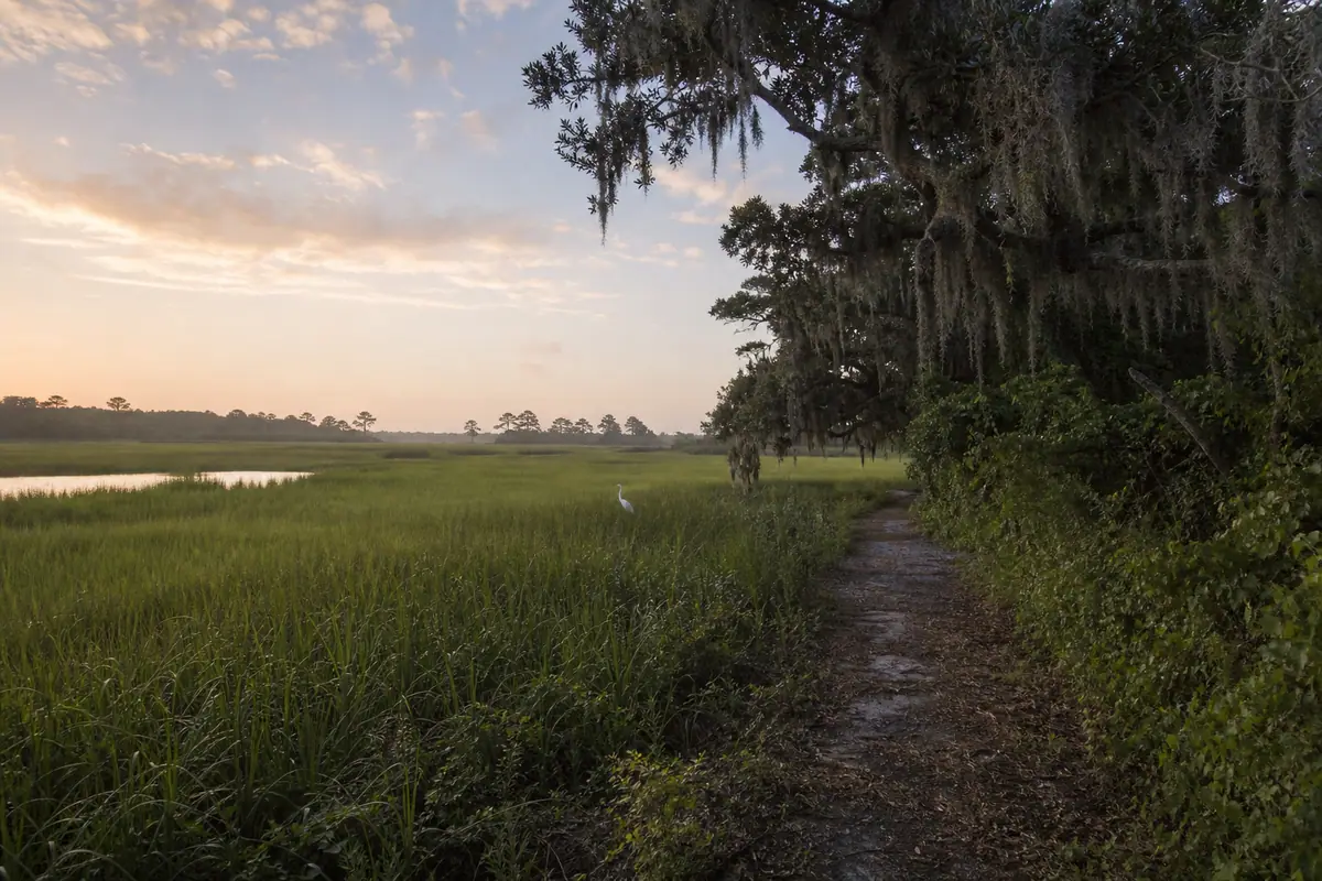 Photoreal travel-editorial view of Pinckney Island National Wildlife Refuge on Hilton Head Island, South Carolina