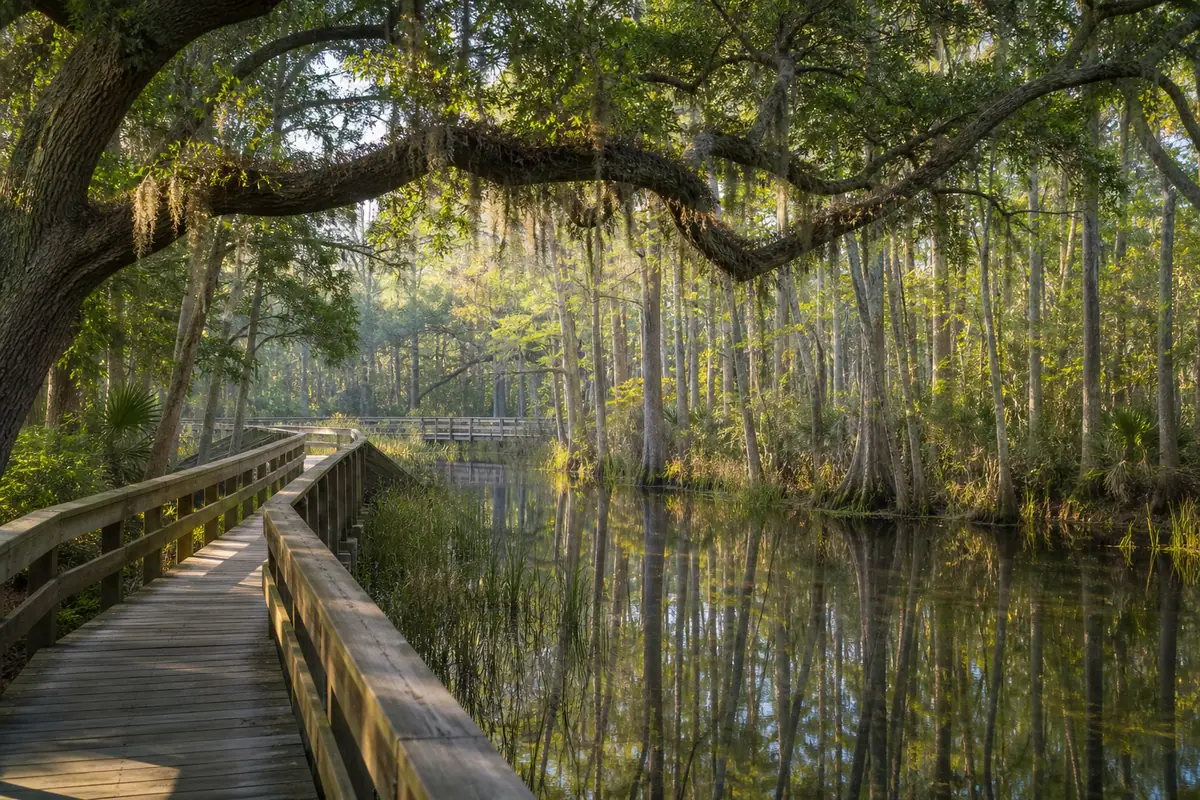 Photoreal travel-editorial view of Sea Pines Forest Preserve on Hilton Head Island, South Carolina