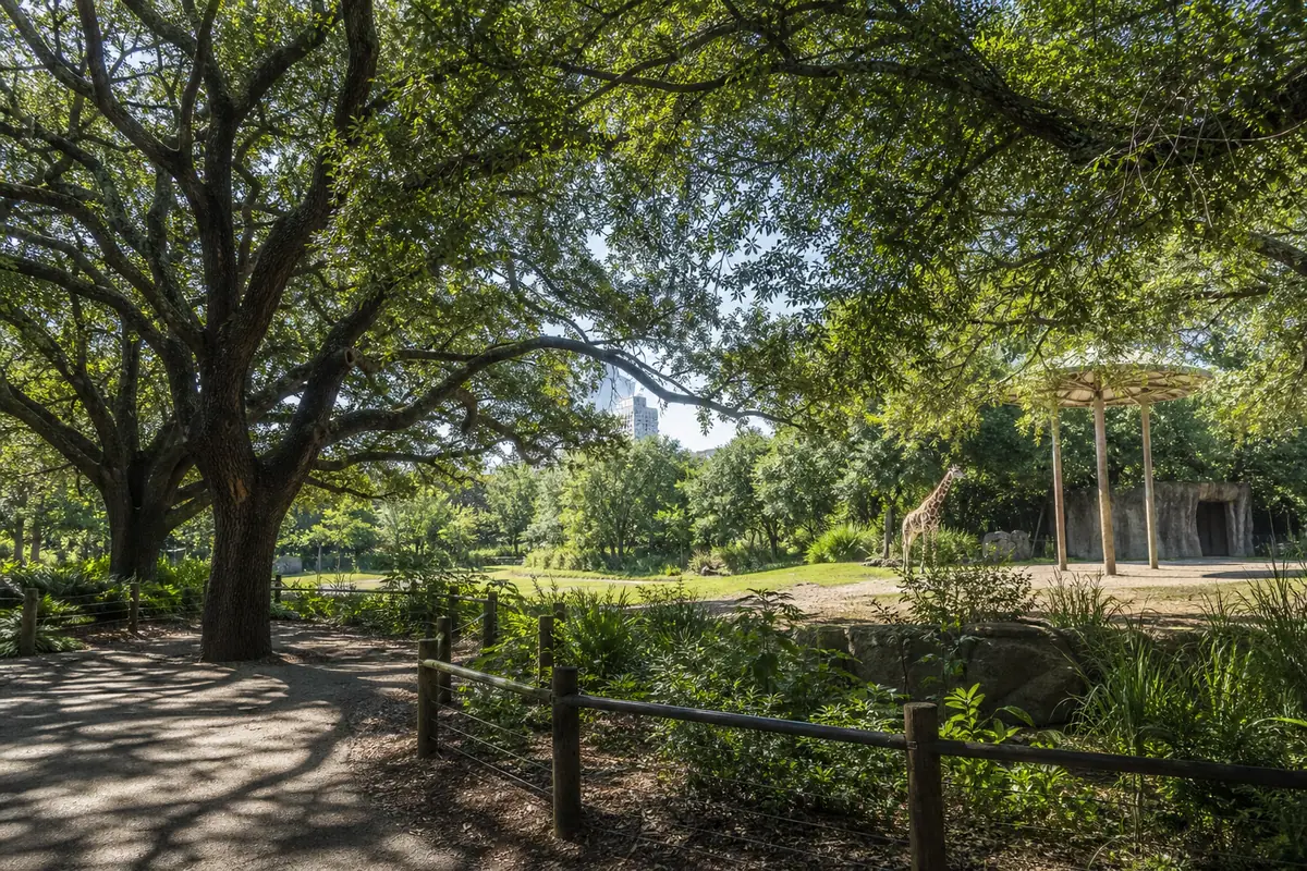 Photoreal view of Houston Zoo in Houston