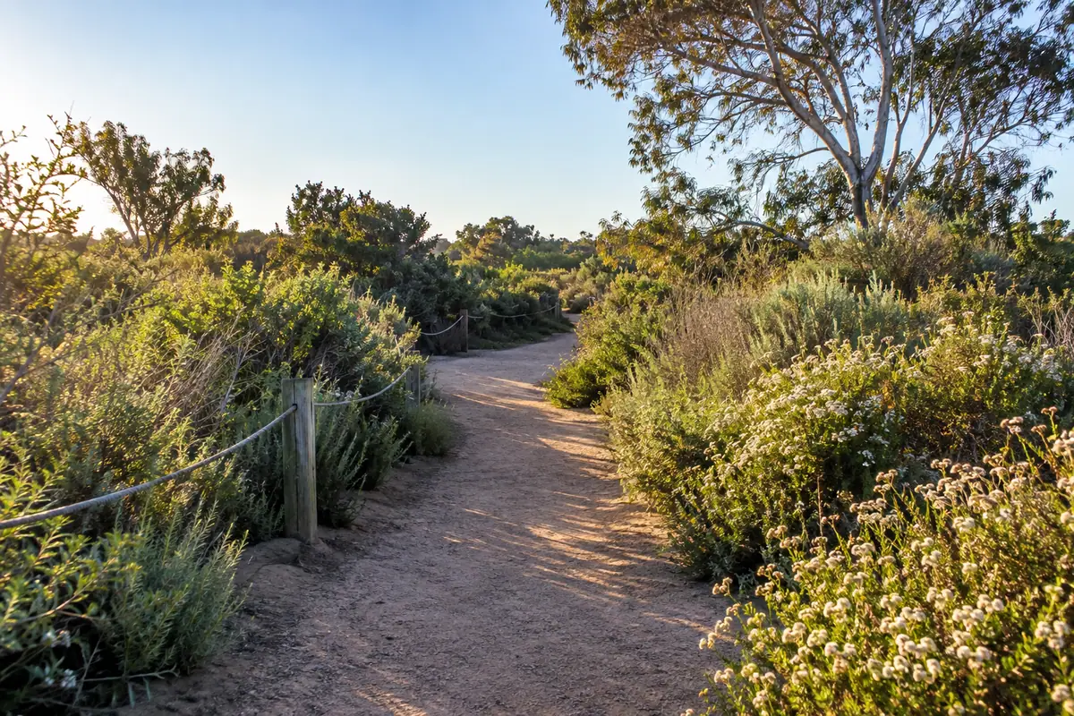 Photoreal travel-editorial view of Shipley Nature Center in Huntington Beach, California