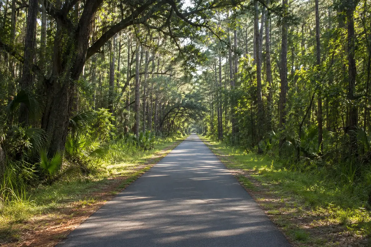 Photoreal travel-editorial view of Jacksonville-Baldwin Rail Trail in Jacksonville, Florida