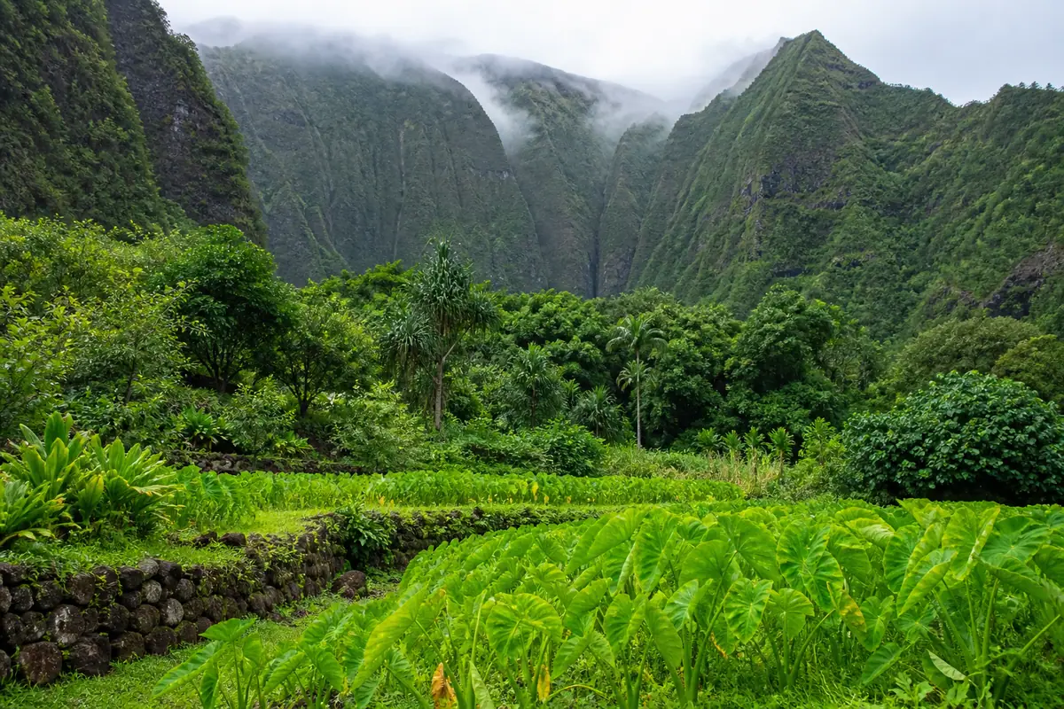 Limahuli Garden and Preserve on Kauaʻi