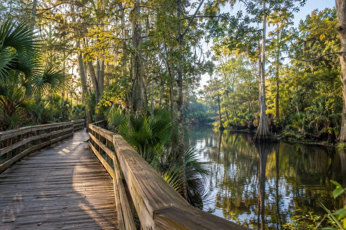 Photoreal travel-editorial view of Shingle Creek Regional Park in Kissimmee, Florida