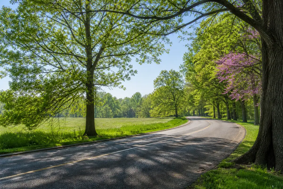 Photoreal view of Cherokee Park and Scenic Loop in Louisville