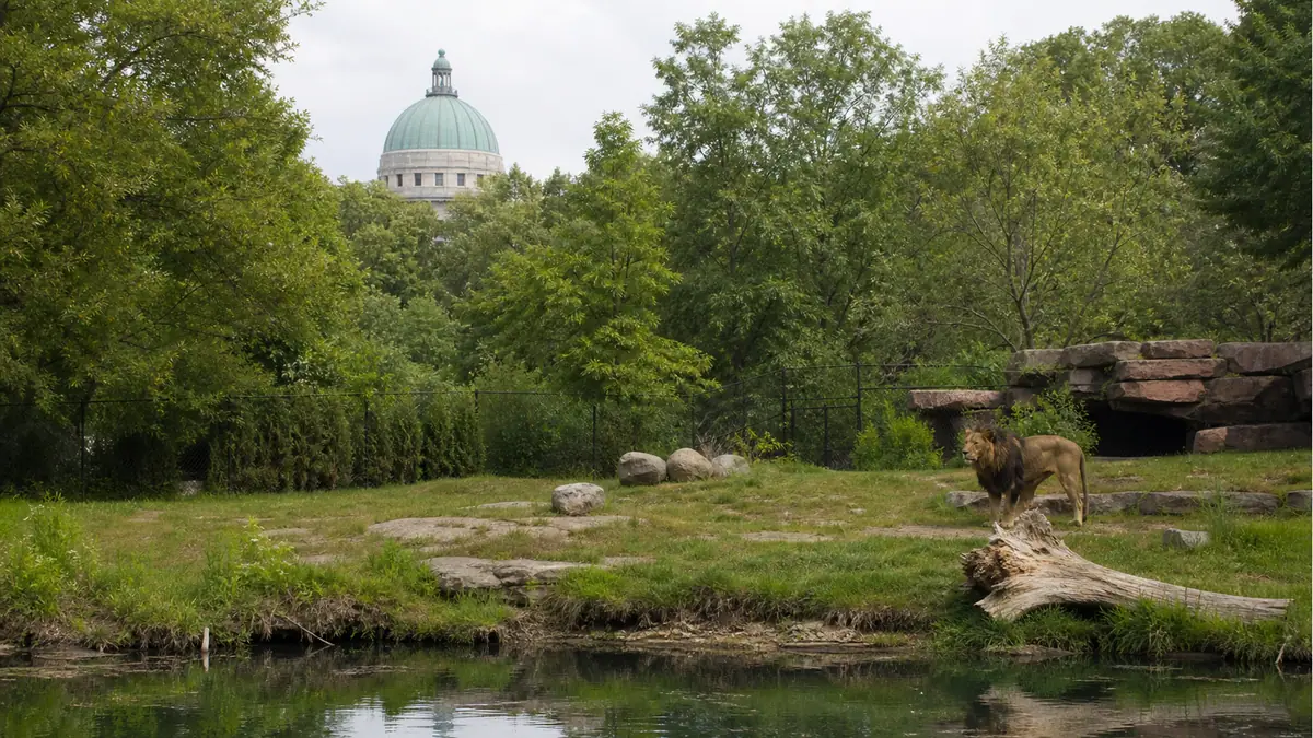 Photoreal travel-editorial view of Henry Vilas Zoo in Madison, Wisconsin