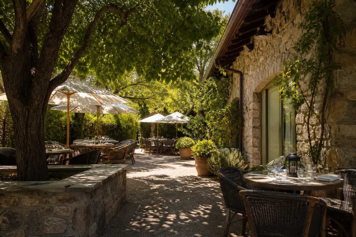 Photoreal travel-editorial view of Ciccio in Napa Valley, California