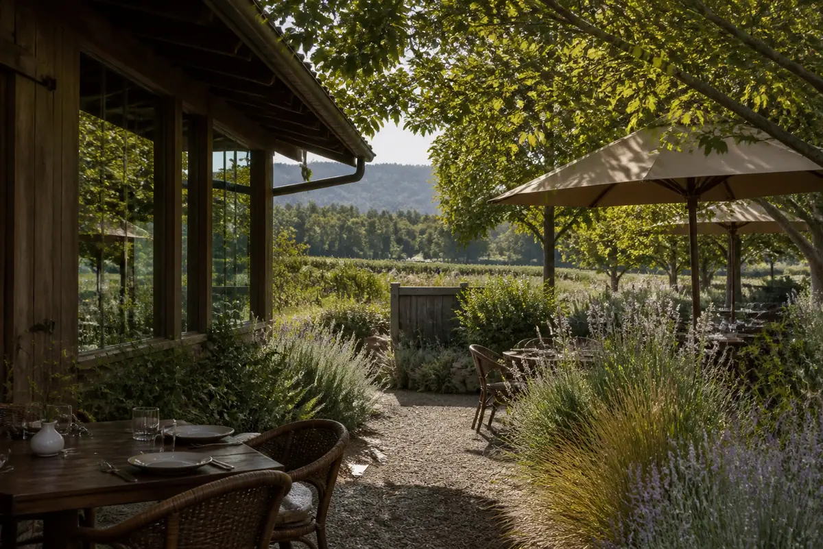 Photoreal travel-editorial view of Lovina in Napa Valley, California