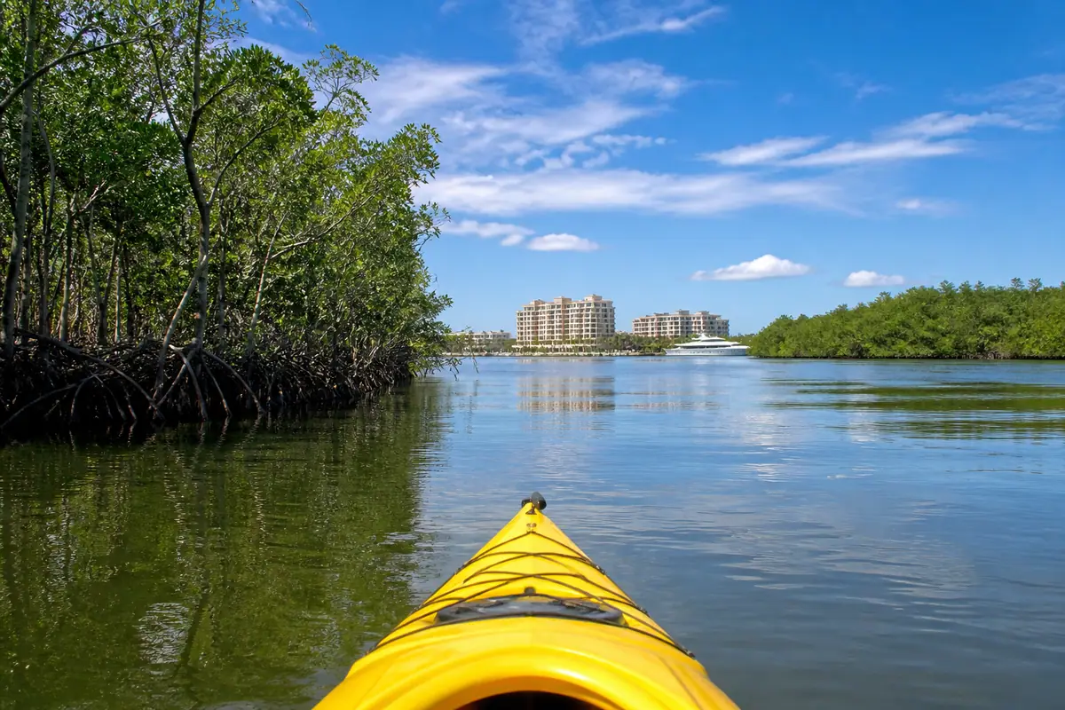 Photoreal travel-editorial view of Naples Bay Kayak or Boat Tour in Naples, Florida