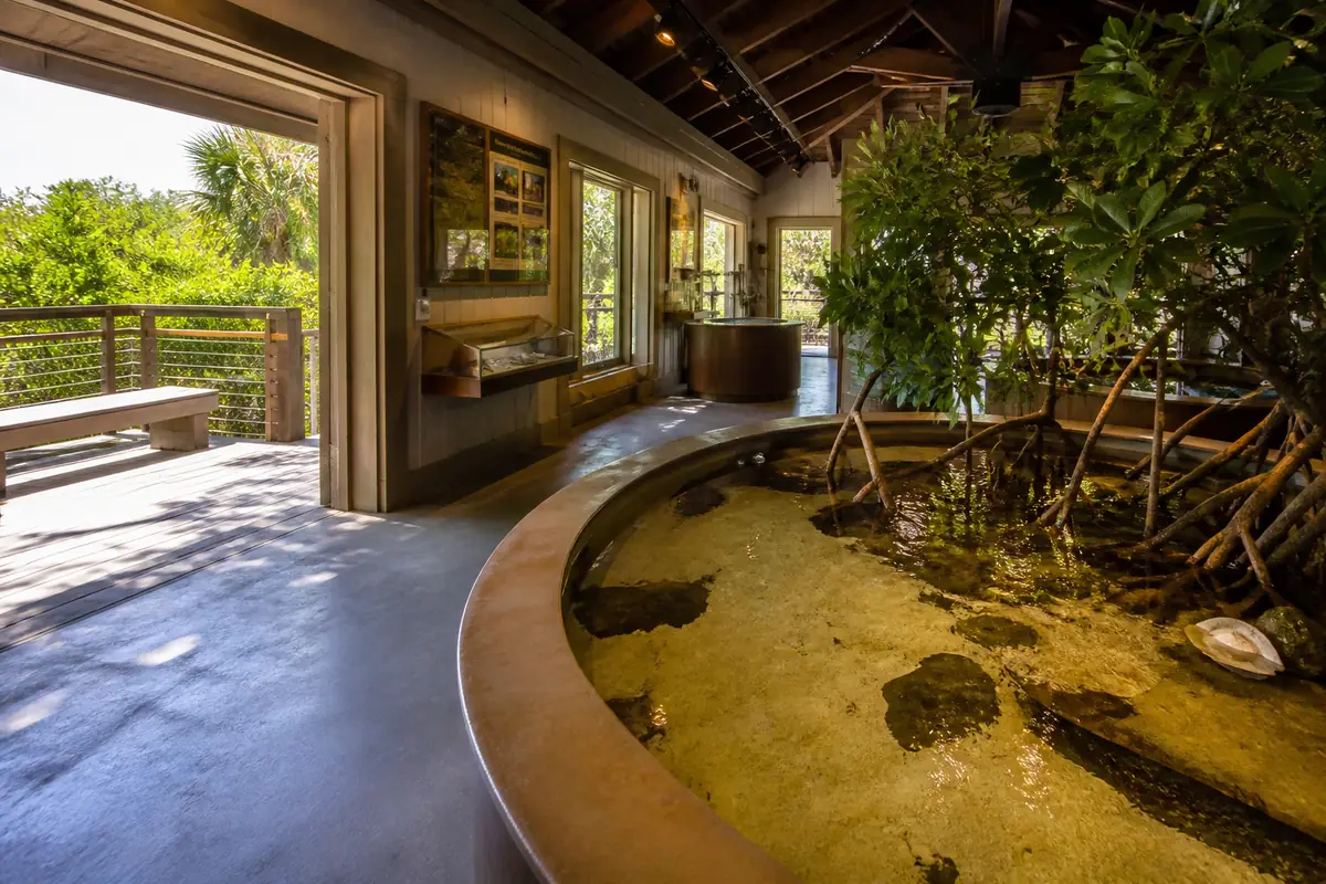Photoreal travel-editorial view of Rookery Bay Environmental Learning Center in Naples, Florida