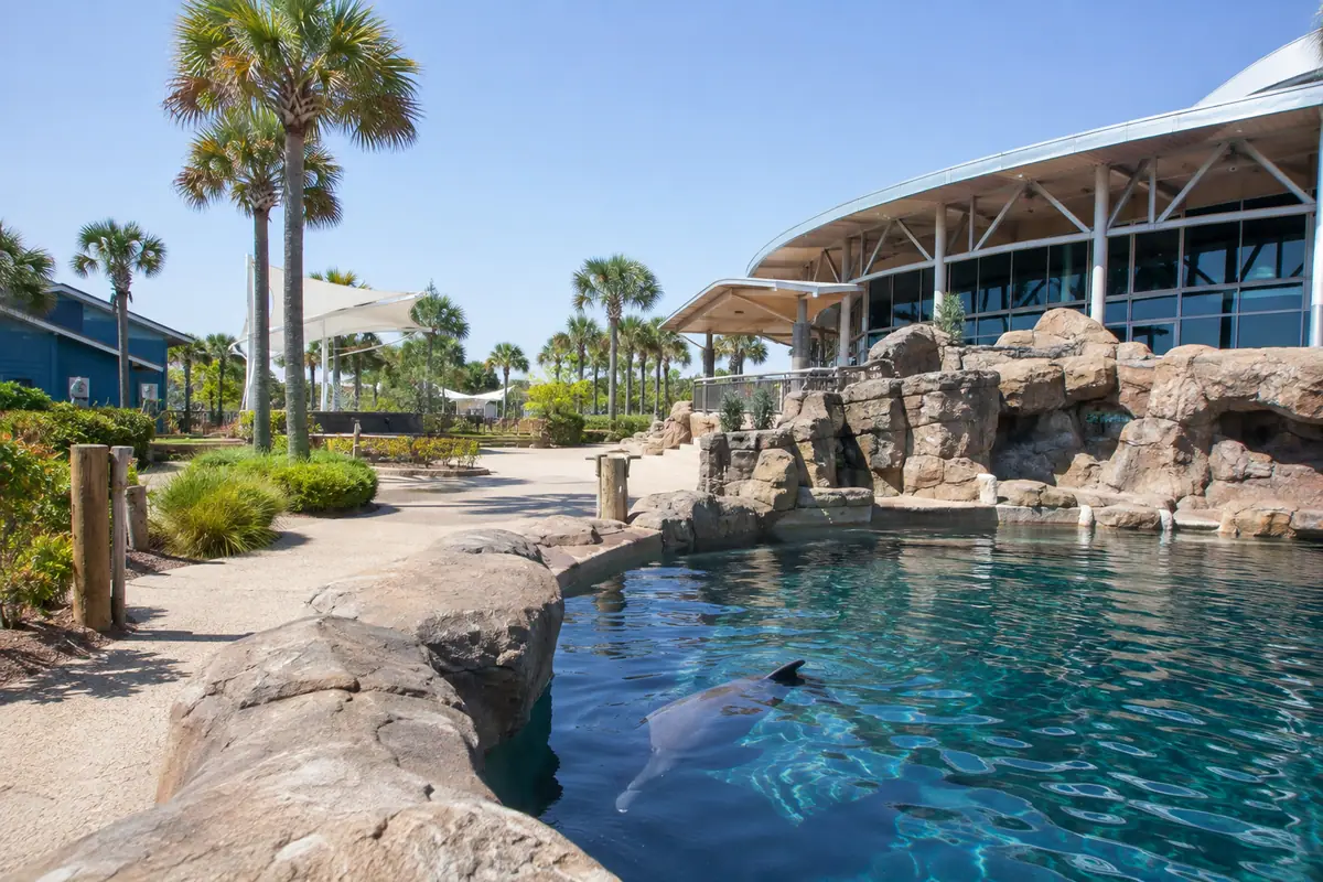 Photoreal Gulf World Marine Park entry in Panama City Beach