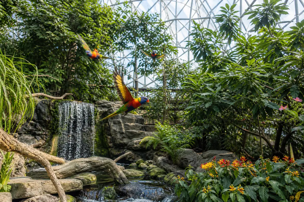 Photoreal view of National Aviary in Pittsburgh