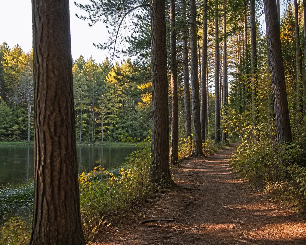 Photorealistic travel-editorial view of William B. Umstead State Park in Raleigh, North Carolina
