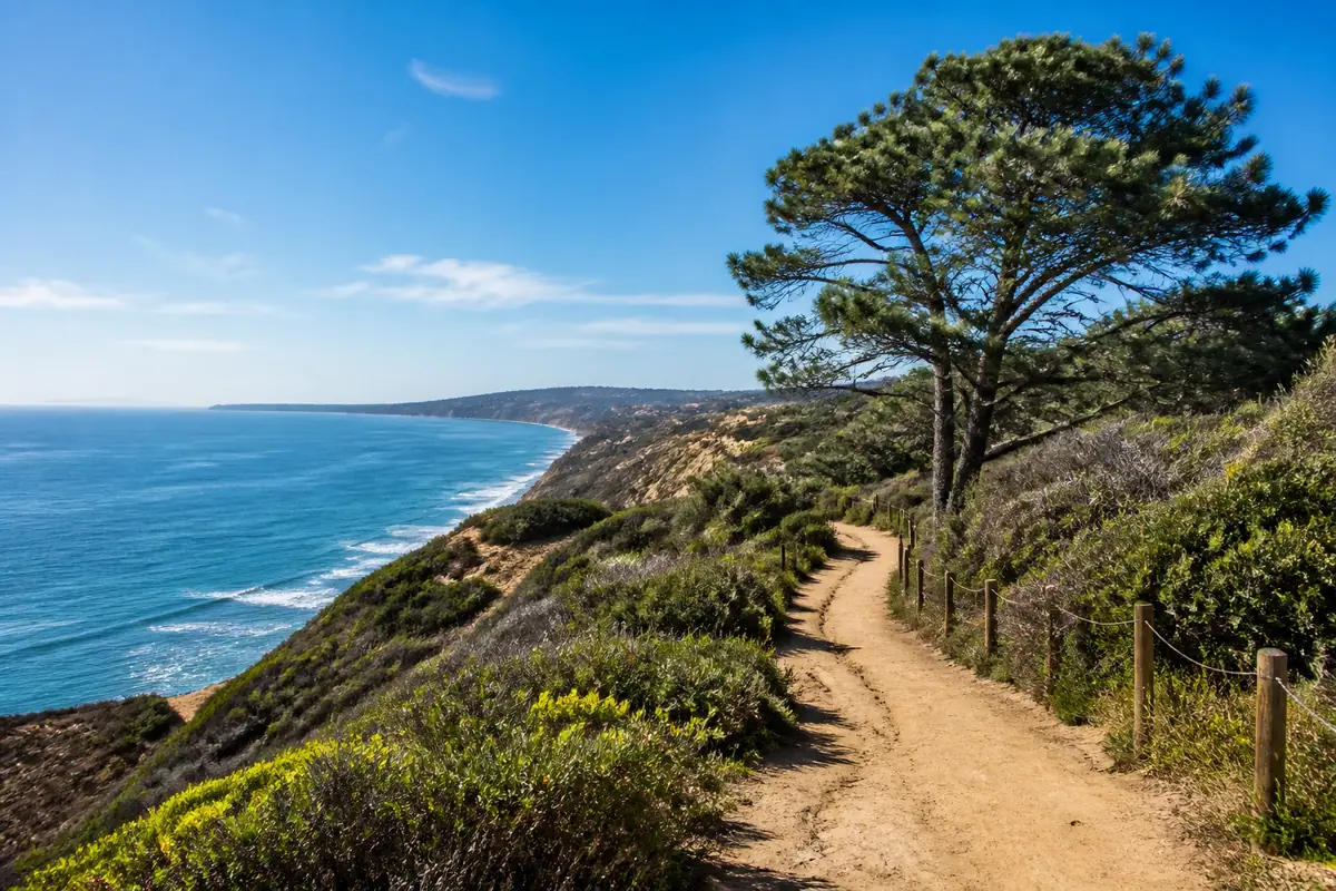 Photoreal view of Torrey Pines State Natural Reserve in San Diego