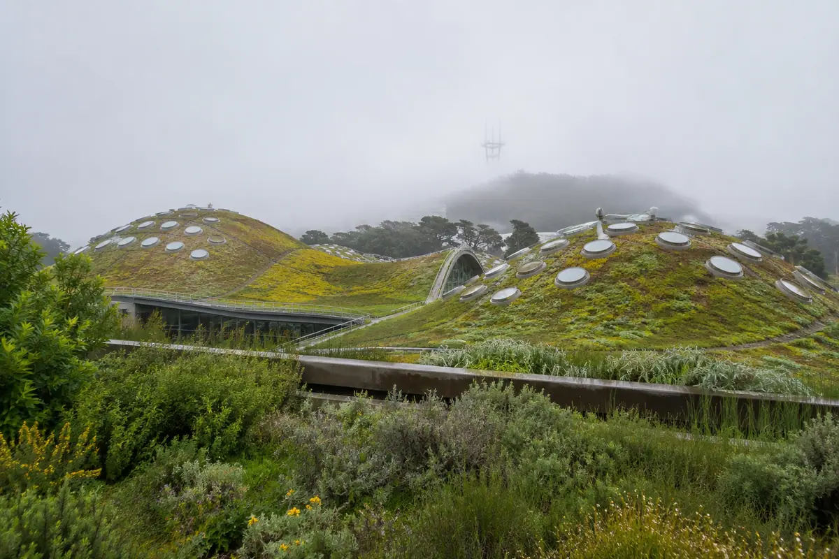 Photoreal living roof at California Academy of Sciences in San Francisco