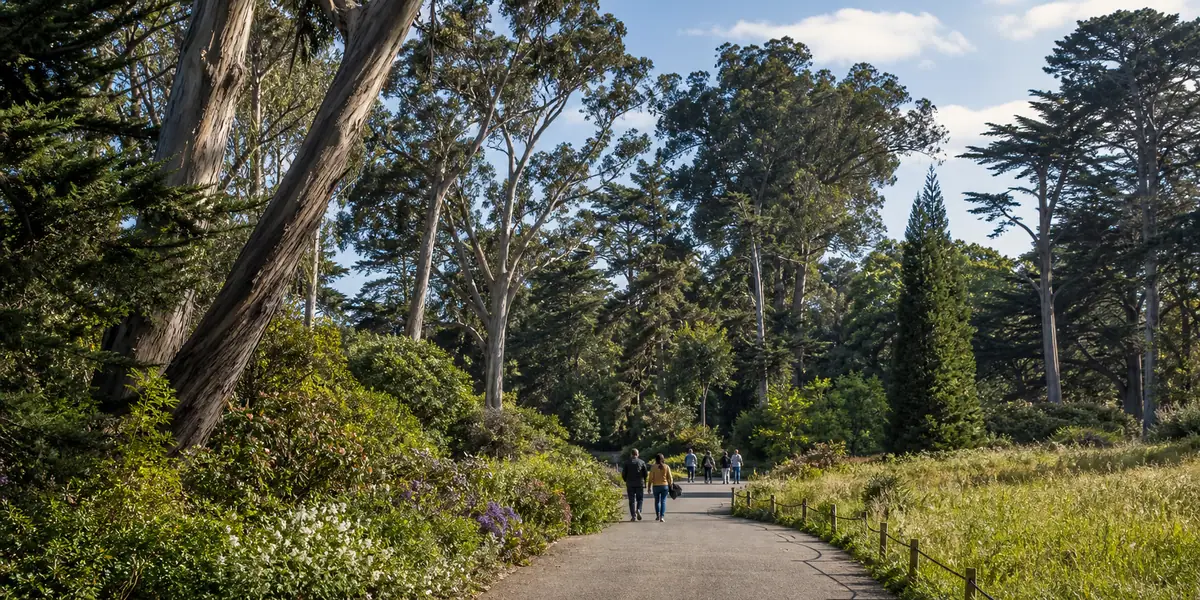 Photoreal Golden Gate Park scene in San Francisco
