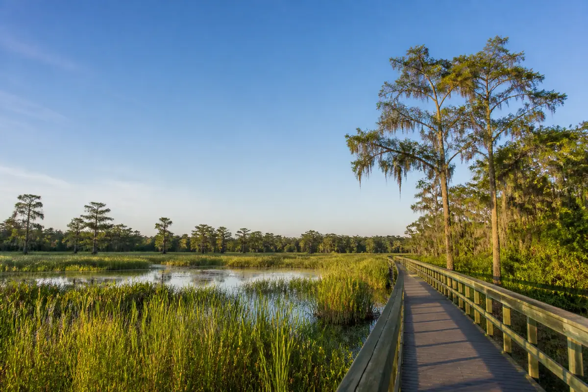 Photoreal travel-editorial view of Myakka River State Park in Sarasota, Florida