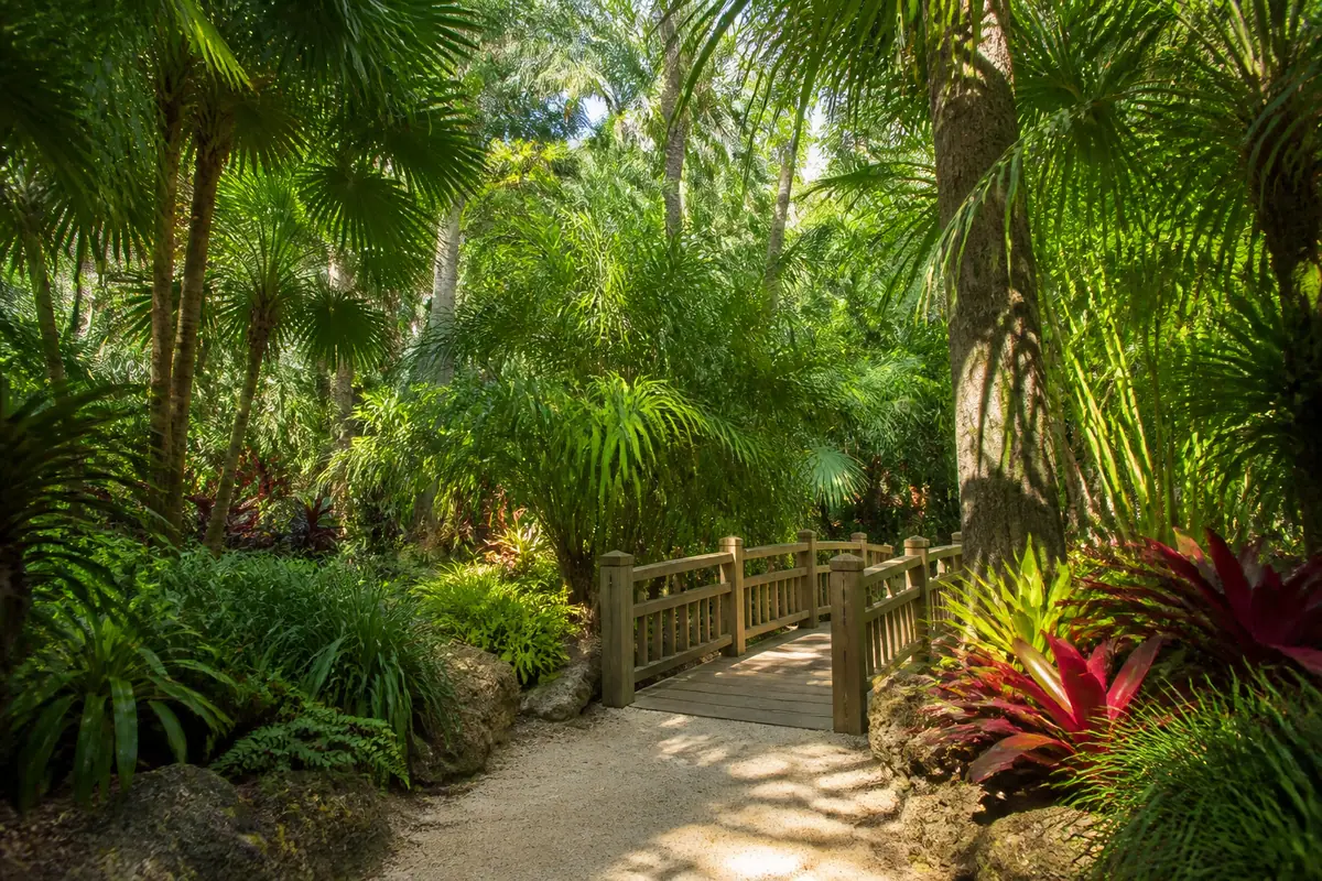 Photoreal travel-editorial view of Sarasota Jungle Gardens in Sarasota, Florida