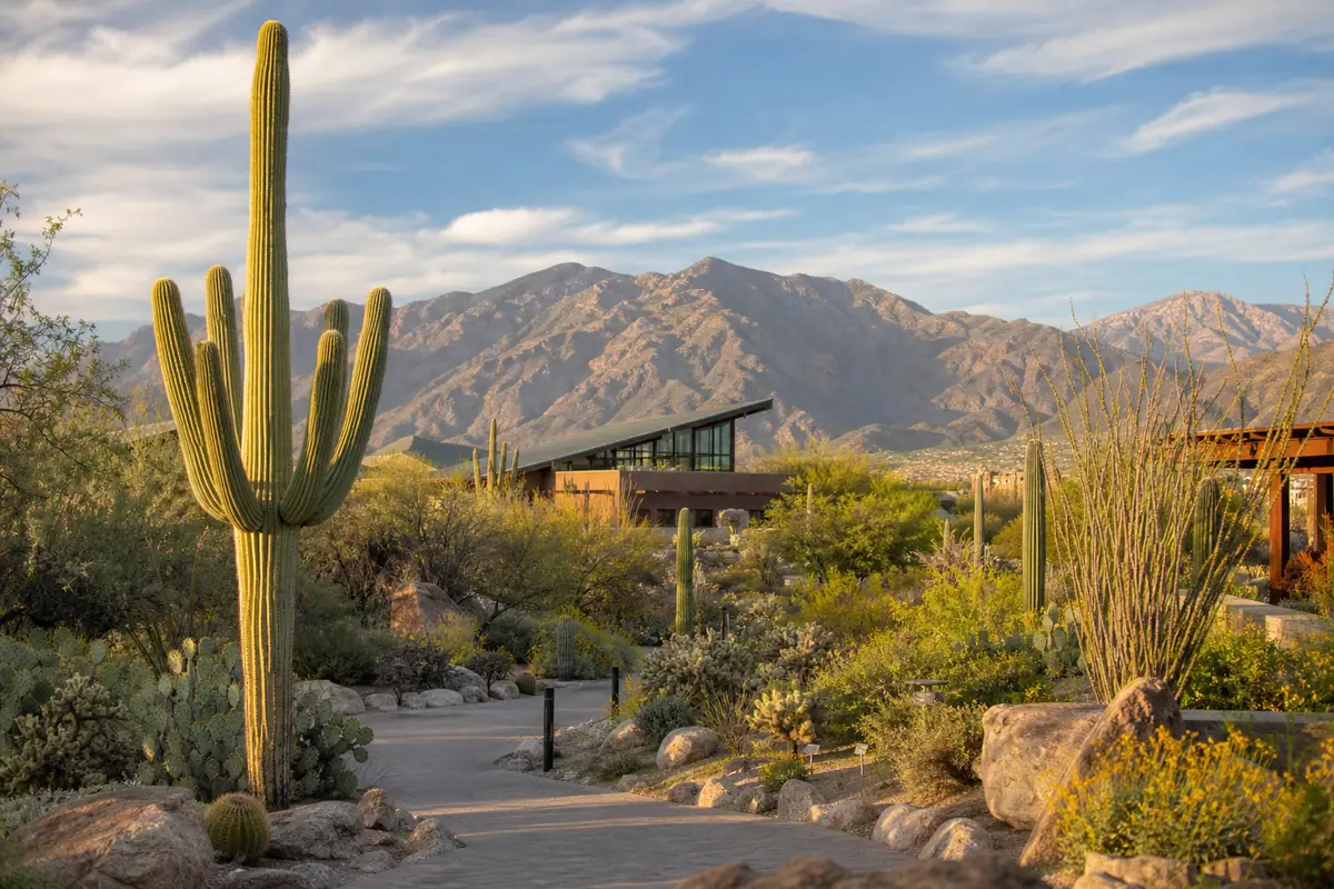 Photoreal travel-editorial view of Arizona-Sonora Desert Museum in Tucson, Arizona