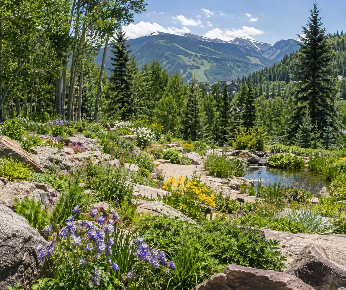 Travel-editorial view of Betty Ford Alpine Gardens in Vail, Colorado