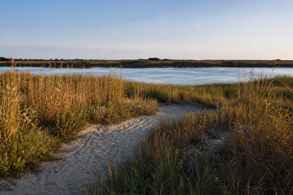 Photoreal travel-editorial view of Back Bay National Wildlife Refuge in Virginia Beach, Virginia