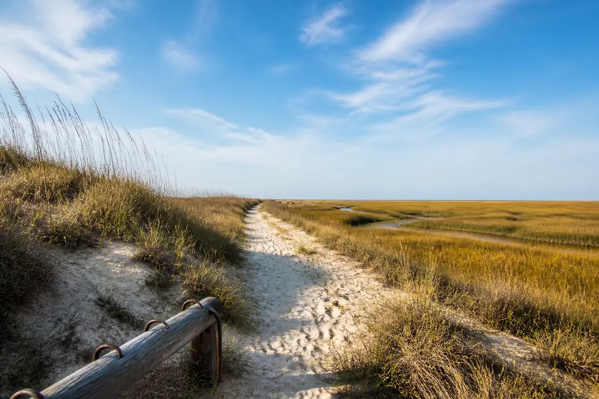Photoreal travel-editorial view of False Cape State Park in Virginia Beach, Virginia